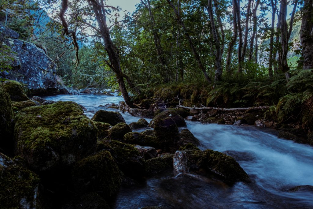 DSCF1458